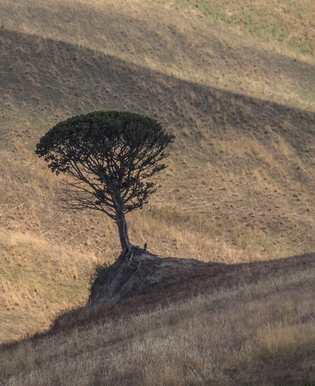 Stacks Image 49